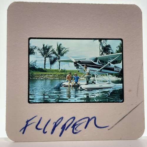 Flipper diapositiva 35mm - , anni