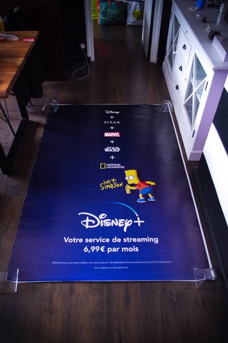 Disney simpson rifugio - disney+,