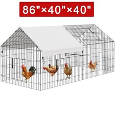 Pollaio pollaio piccoli