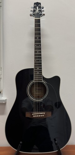 Chitarra acustica takamine - acustica,