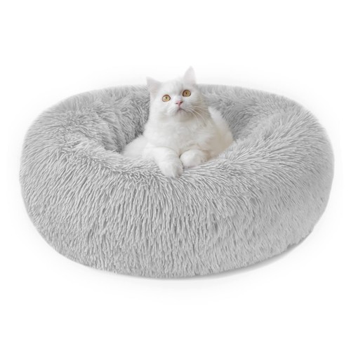 Cane gatto morbido rotondo - gatto,