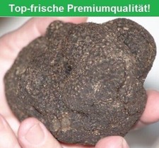 Tartufo 50g fresco T