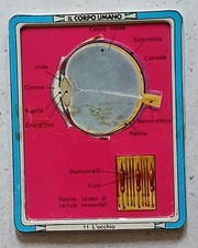Placca metallo IL CORPO UMANO