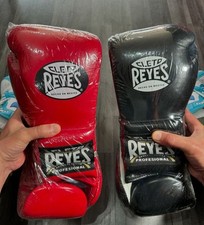 2 Guantoni da boxe