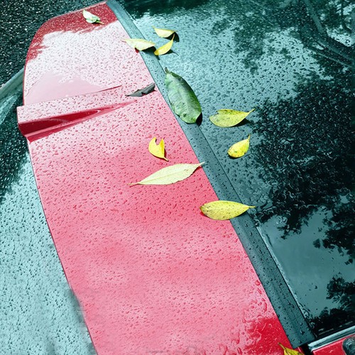 Striscia guarnizione gap cover - striscia,