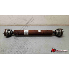 P52853641ad albero - p52853641ad,