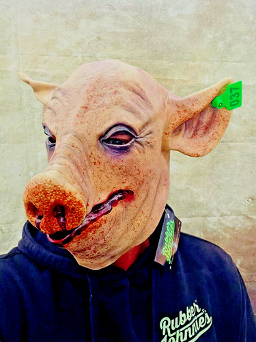 Adulto halloween maiale - halloween,
