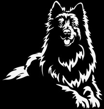 Adesivo PASTORE SVIZZERO -