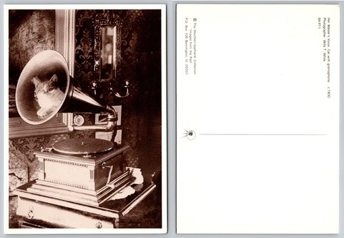 Cartolina stile vintage gatto