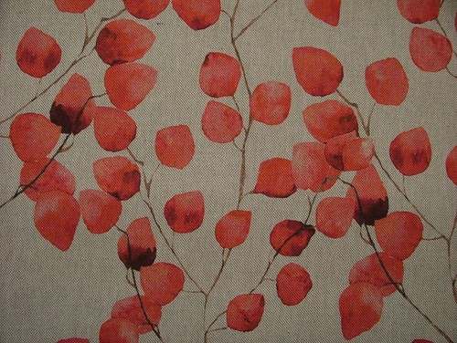 Eucalipto albero foglia spice - foglia,