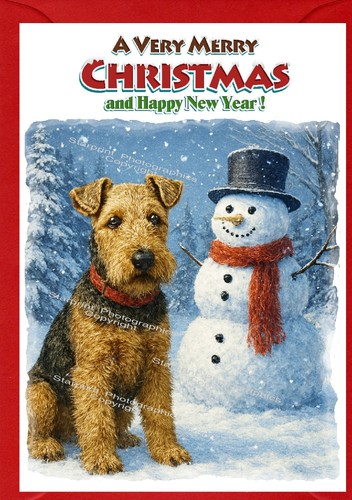 Biglietto natale welsh - biglietto, di