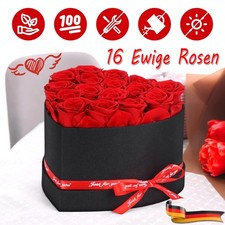 Rose eterne, Infinity Rose