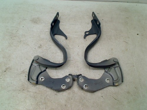 Cerniera cofano set abarth - cofano,