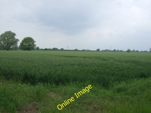 Photo 6x4 crop field near - photo,
