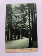 VALLOMBROSA - TUNNEL DI ABETI - CARTOLINA EDIZ. ORESTE LOMBARDI - MAI SPEDITA 