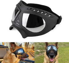 Occhiali Da Sole per Cani