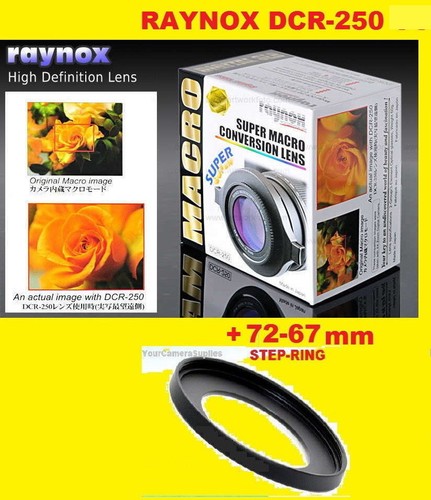 Raynox dcr 250 - up, macro