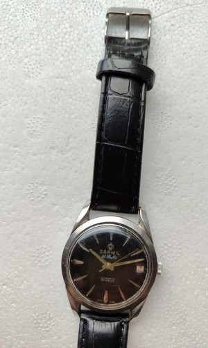 Darwil inox rubis swiss - darwil, 88
