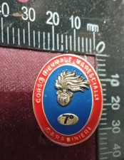 SPILLA PIN 7° CORSO BIENNALE