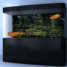 Poster sfondo acquario