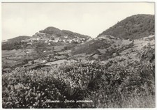 ALLUMIERE - ROMA - SCORCIO