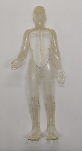 Esplorando corpo umano - corpo,