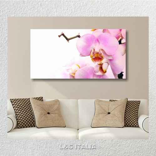 Orchidee rosa zen quadro - orchidee,
