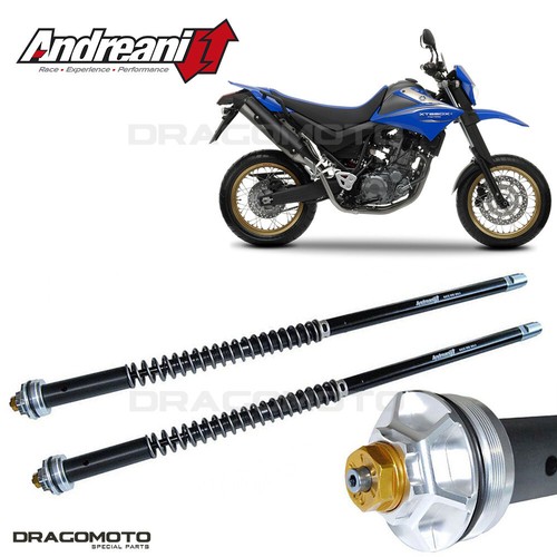 Yamaha 660 motard - 660, x