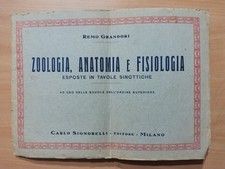 Zoologia, anatomia e