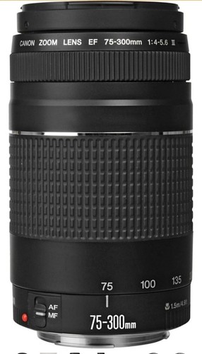 Canon 300mm 5 6 - canon, f/4-5.6