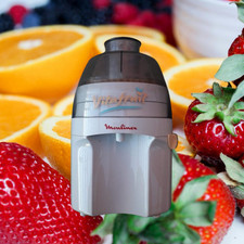 MOULINEX Vitafruit Y36