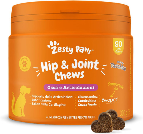 Hip joint articolazioni - &,