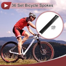 Set 36 Raggi Bicicletta 14G