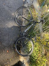 Bianchi cortina shimano 3x8 - cortina,