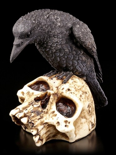 Figura corvo teschio - figura,