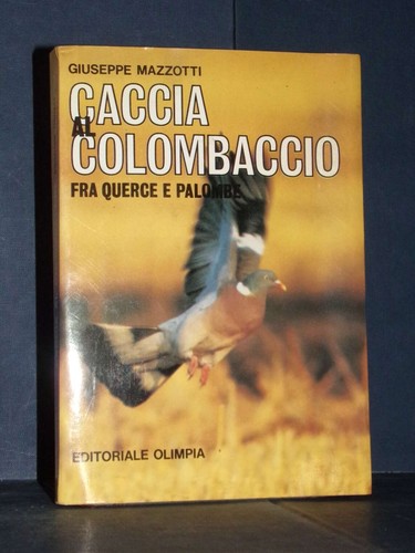 Giuseppe mazzotti caccia al - giuseppe,