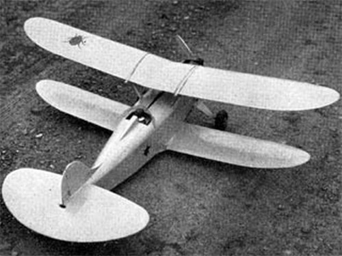June bug biplane r - bug, 48"