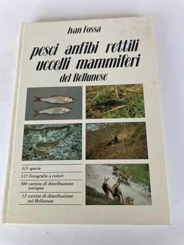 Pesci anfibi rettili - anfibi,,