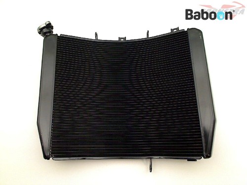 Radiatore ricambio kawasaki - radiatore,