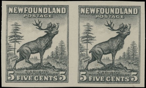 1932 canada terranova caribù - 1932, canada-terranova