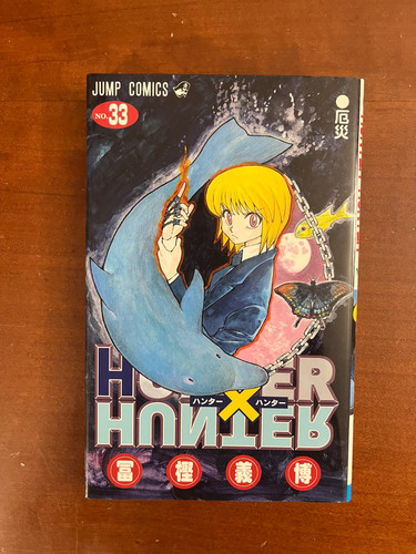 Hunter hxh manga - hunter,