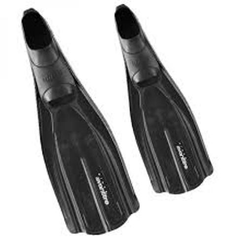 Pinna mares per - mares,