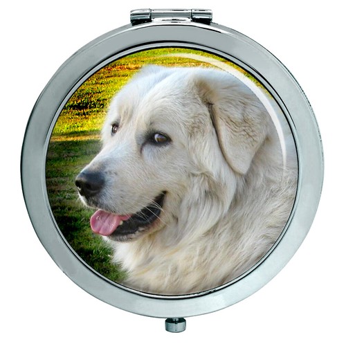 Maremmano abruzzese maremma - abruzzese, (maremma