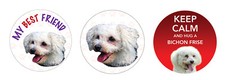 2 x BICHON FRISE Dog vinyl