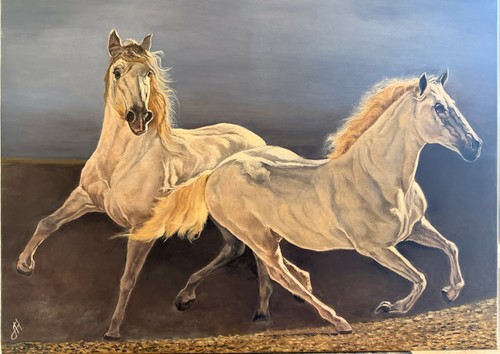 Quadro olio tela - olio, su