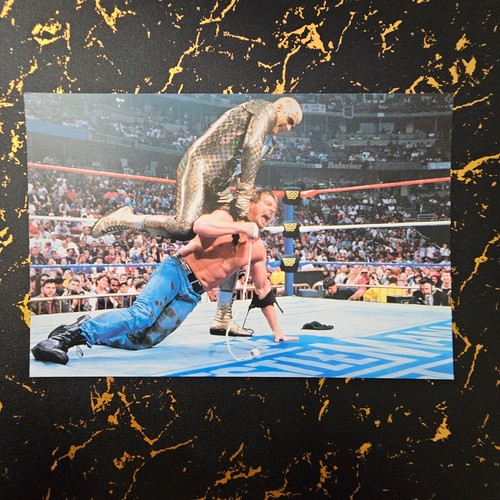 1999 titan sport wrestlemania - 1999,