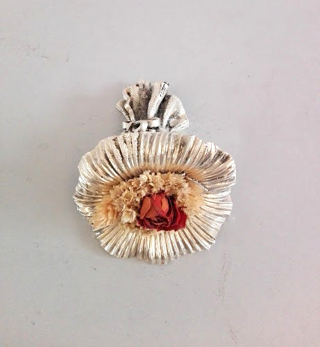Elegante cornucopia laminata - elegante,