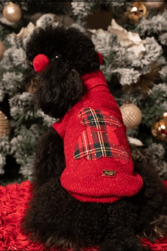 Maglioncino per cani rosso - maglioncino,
