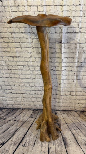 Cupola 120 cm fungo - 120, 50