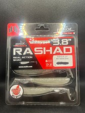 Molix RASHAD 3.8